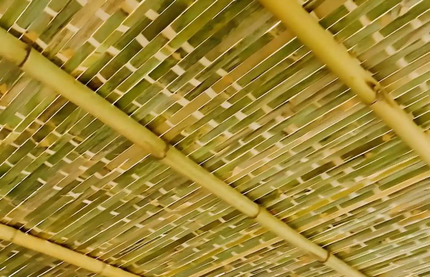 The Top Choice: Bamboo Schach Mats vs. Palm Branches for Your Sukkah Roof