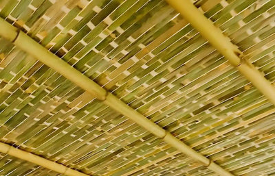 The Top Choice: Bamboo Schach Mats vs. Palm Branches for Your Sukkah Roof